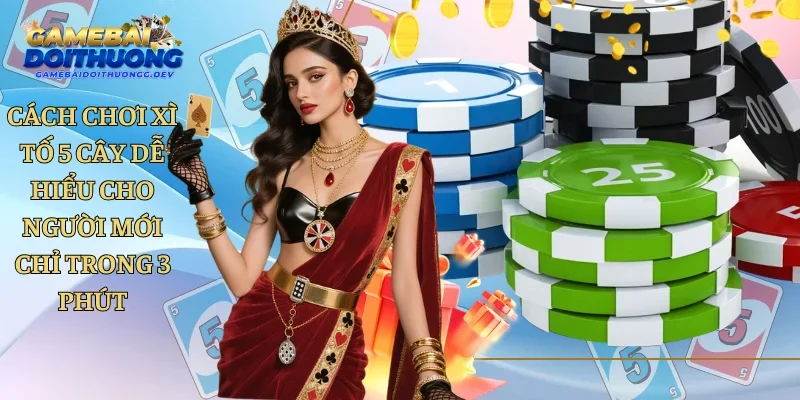 Cách Chơi Xì Tố 5 Cây Dễ Hiểu Cho Người Mới Chỉ Trong 3 Phút
