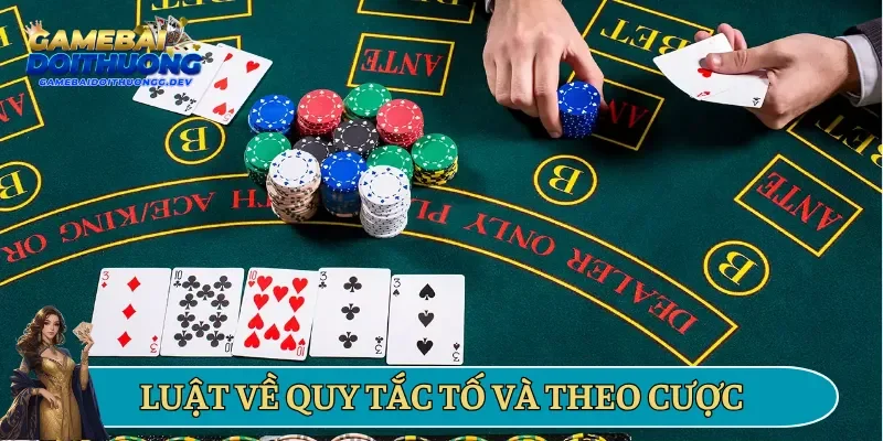 Luật về quy tắc tố và theo cược