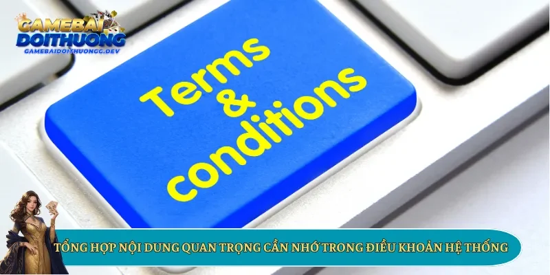Tổng hợp nội dung quan trọng cần nhớ trong điều khoản hệ thống